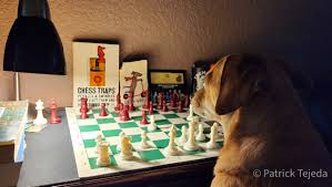 Creativity Contest Results