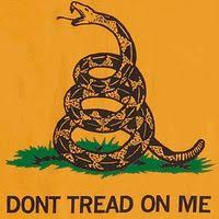 This cool looking design combines the us flag with the rebel flag and then ads revolutionary war era rattlesnake imagery. 53 Don T Tread On Me Gadsden Flags Ideas In 2021 Dont Tread On Me Gadsden Flag Gadsden