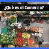Noticias de política, economía, guayaquil, quito e internacionales en el universo. 1