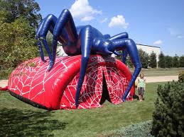 Richmond_spiders_tunnel2d