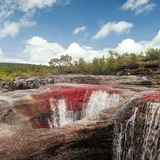 Check spelling or type a new query. Hoteles En La Macarena Meta Cano Cristales Colombia