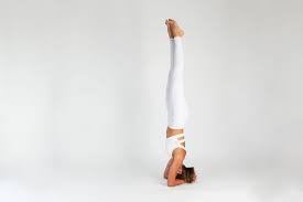 Jan 25, 2018 · ardha pincha mayurasana: Yoga Tutorial Pincha Mayurasana Yoga Practice