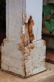 You can call at +1 281 741 7098 or find more contact information. 48 Blog Ideas Pest Control Pests Ant Species