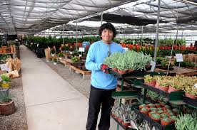 We want to assist you making the best choices about what to plant. Wholesale Succulent Nursery Orange County Los Angeles San Diego