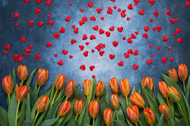 Check spelling or type a new query. Hd Wallpaper Man Made Flower Heart Shaped Orange Flower Petal Tulip Wallpaper Flare