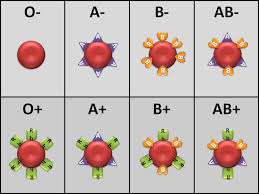 Rh Blood Type Please Press Reset