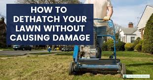 Before dethatching your lawn, there are a few tips that you should follow. How To Dethatch A Lawn Why You Need To And When You Should The Backyard Master