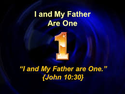 Image result for john 10 30