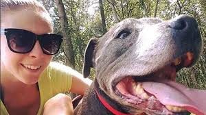 New fitness program created by personal trainer to 'borrow' homeless dogs  to encourage people to exercise