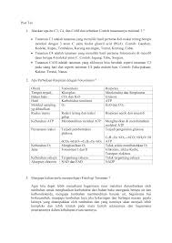 Pada c4 terdapat pemisahan ruang sedangkan pada cam pemisahannya. Post Test Angrenani Rindu Prastika
