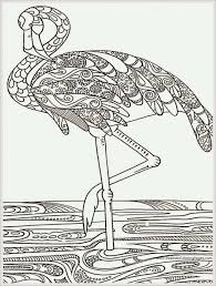 Pin On Coloring Pages To Print