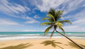 Find hotels in samana peninsula, do. The Best Beaches In Samana Dominican Republic 1st Day Of Summer