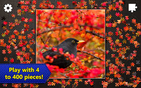 Best free jigsaw puzzles for ipad. Best Jigsaw Apps For Ipad In 2021 Softonic