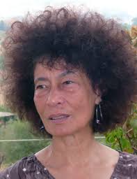 The New Press Spring 2014 Catalog by newpressbooks