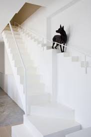 A Staircase Designed For Dogs Stairs Design Staircase Design Dog Stairs