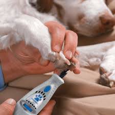 How to cut your dog's nails. This Cordless Tool Will Help You Groom Your Dog S Nails Like A Pro Pets Stltoday Com