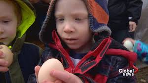 Easter egg-stravaganza: special chickens hatching some surprising sights