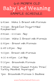 Now that baby's eating solid foods—and still drinking formula or breast milk—it's easy to get overwhelmed by how much of what he eight months old is a good time to introduce a sippy cup to your baby. Baby Led Weaning Sample Feeding Schedules Family Style Nutrition Baby Led Weaning Recipes Baby Led Feeding Baby Food Schedule