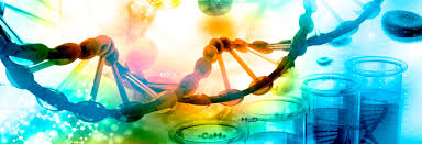 El siglo del gen. Biología molecular y genética | OpenMind