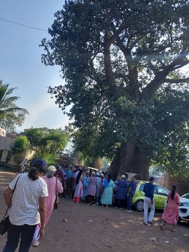 Historic Baobab tree at Wai Heritage Walk