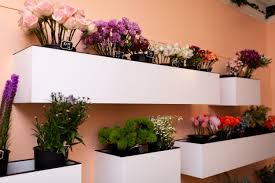 The leading real estate marketplace. Blossom Cleveland Flower Bar