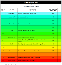 20 Pt Borg Scale Bmp 955 X 993 Pixels Scale Heart Rate