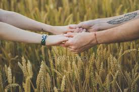 The full hand tattoo, finger tattoos, the clock reminder hand tattoo can also be one of the best because it is personal. Cropped Image Of Male Hands With Tattoo Holding Female Hands Over Rye Field On Backdrop Country Happiness Stock Photo 171423070