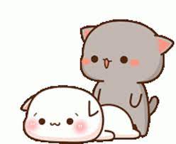 cute cat gif cute cat discover share gifs in 2021 cute anime cat cute cat gif chibi cat