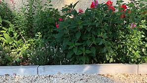 We did not find results for: Creer Des Parterres De Fleurs Avec Des Bordures Pour Jardin