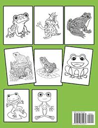 Frog coloring pages for kids. Frog Coloring Book For Kids Fun Children S Coloring Book For Toddlers Kids Ages 3 8 With 40 Pages To Color Beautiful 40 Frog Illustrations By Coloring House Ns Amazon Ae