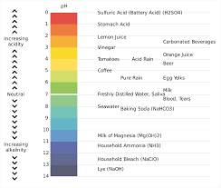 ph scale acids and bases calculating ph value videos