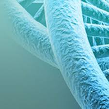 Changes in the Dickkopf-1 and tartrate-resistant acid phosphatase 5b serum  levels in preschool children with nephrotic syndrome