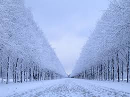 Image result for winter