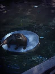 Pin On September 2014