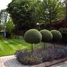 1600 x 1600 jpeg 225 кб. Modern Country Garden Combos Lavender And Topiary Over On Modern Country Style Blog In 2020 Country Garden Design Tree Garden Design Beautiful Gardens