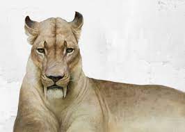 The Sabertooh Cat Smilodon Fatalis I Love The Way The Artist Has Modeled The Bones And Muscles Of The Face Smilodon Prehistoric Animals Prehistoric Wildlife