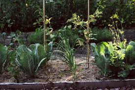Pin Auf Garten