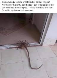 Enjoy A Nonchalant Compilation Of 46 Remarkable Pics Really Funny Memes Funny Relatable Memes Stupid Funny Memes