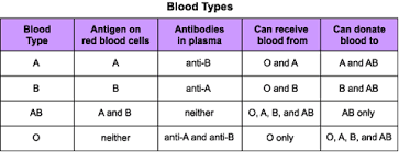Explicit Blood Type Antigen Chart Blood Type Antigens
