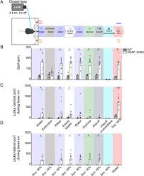 Check spelling or type a new query. Lateral Hypothalamic Gabaergic Neurons Encode And Potentiate Sucrose S Palatability Biorxiv