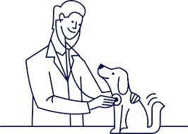 Getting started in dog sports. Petco Veterinary Services Quality Care For Your Pet Petco