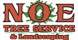Louis county beautiful and healthy. Noe Tree Service Landscaping Plano Coupons