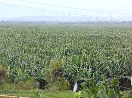 Pin On Viajes Por Mi Tierra