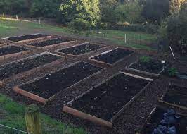 At this point in the season, your best bet is to simply cover your growing beds with 2 inches of shredded leaves to prevent weeds, protect against soil erosion and retain nutrients over the winter. How To Improve Your Soil Over Autumn Winter