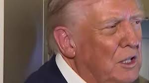 Sheriff faces backlash over Halloween ICE display in his front yard