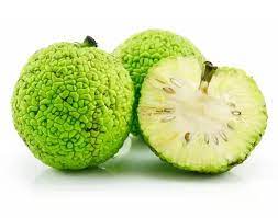While they are adapted to the south, they will also thrive in more northern climes. What Is A Green Looking Fruit Growing In Texas Quora