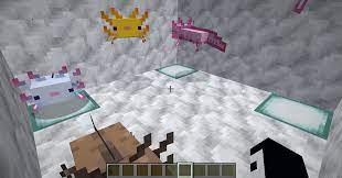 Summon axolotl summon mob generator. What Does Reddit Think Of My Axolotl Aquarium Minecraft