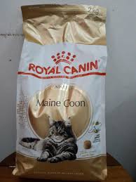 Royal canin dewasa maine coon. Jual Makanan Kucing Maine Coon 2kg Royal Canin Adult Perlengkapan Hewan Makanan Hewan Di Carousell