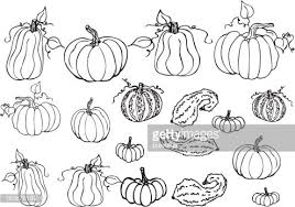 Are you looking for the best pumpkin line drawing for your personal blogs, projects or designs, then clipartmag is the place just for you. Pumpkin Line Art Clipart 1 566 198 Clip Arts