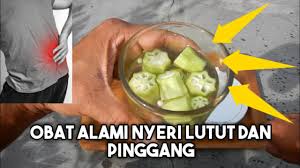 Sakit lutut & sendi ? Obat Alami Nyeri Lutut Dan Pinggang Youtube
